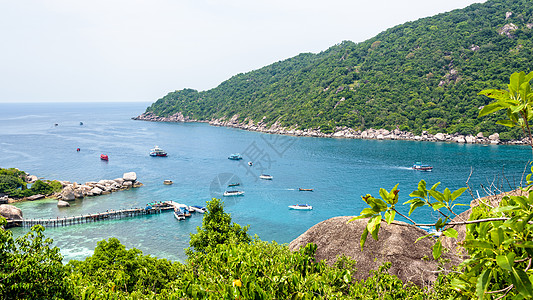 道海和南元岛 旅游 树 夏天 吸引力 宽屏 风景图片