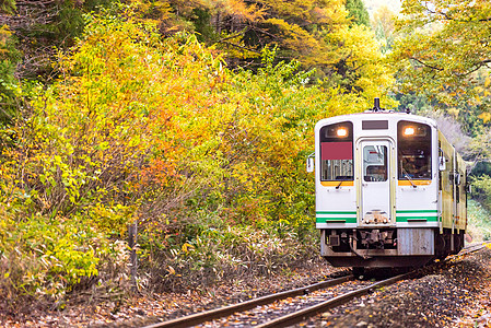 日本福岛日本白列车 车站 薄雾 秋天 季节 若松 旅行图片