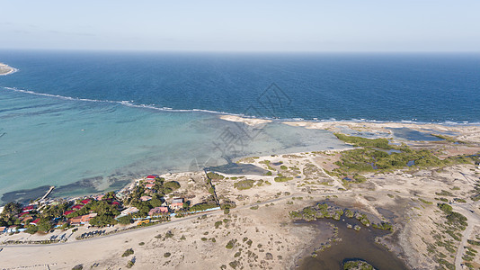 Bonaire岛 加勒比海滨环礁湖 海洋 珊瑚图片