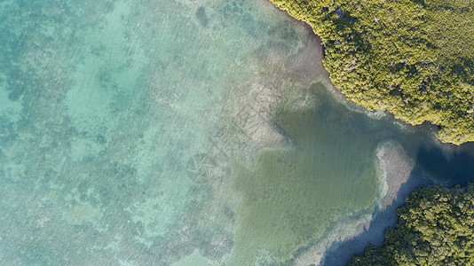 Bonaire岛 加勒比海滨环礁湖 海岸 风景优美的图片