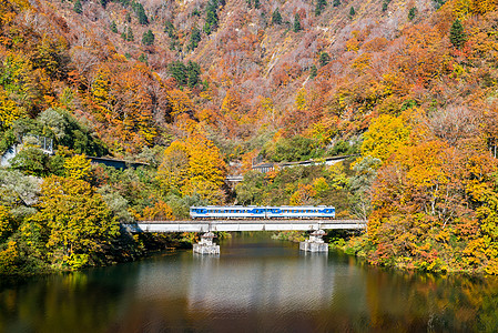 日本福岛田上秋天 松树 运输 山 火车 湖 河图片