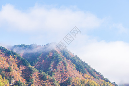 福岛银行 运输 旅游 湖 日本 光洋 薄雾 松树图片