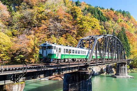 福岛黑桥日本田中江 机车 薄雾 秋天的落叶 日出 秋天 美丽的图片