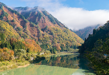 福岛银行 假期 旅游 自然 薄雾 树 美丽图片