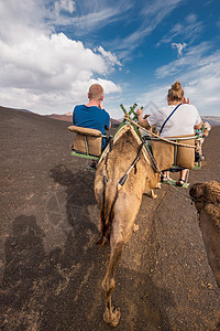 西班牙加那利群岛兰萨罗特岛蒂曼法亚国家公园火山景观中的不明身份游客乘坐的卡梅尔山 吸引力 运输图片