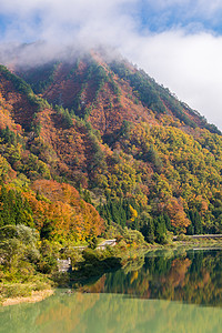 福岛银行 叶子 日本 旅行 反射 黎明 山 光洋图片
