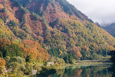 福岛银行 旅行 反射 美丽 峡谷 只见 山 薄雾 松树图片
