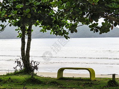 海滩的景象 前头有长凳和树图片