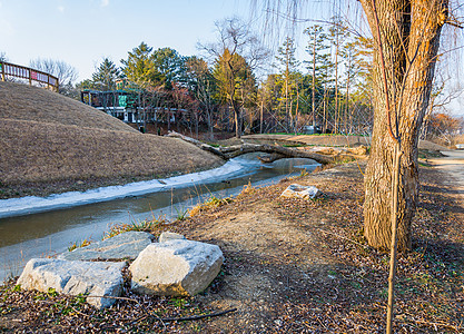 国家公园Nami岛景 韩国 小路 放松 云 汉城图片