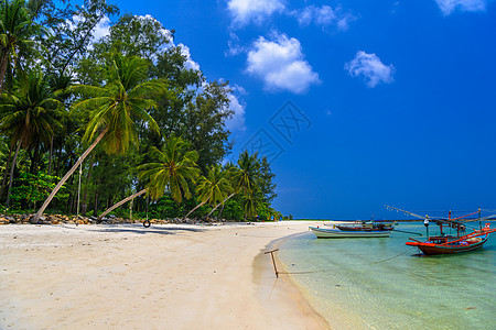 椰子棕榈和长尾船 马里布海滩 科奥潘汉岛 马尔代夫 夏威夷图片