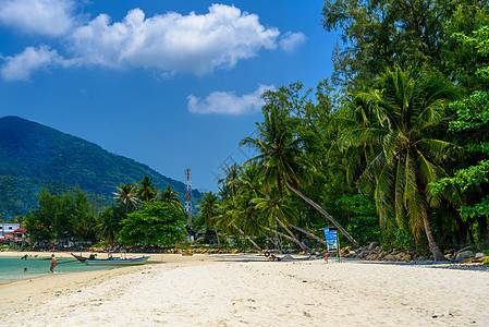 椰子棕榈和长尾船 马里布海滩 科奥潘汉岛 天空 泰国图片