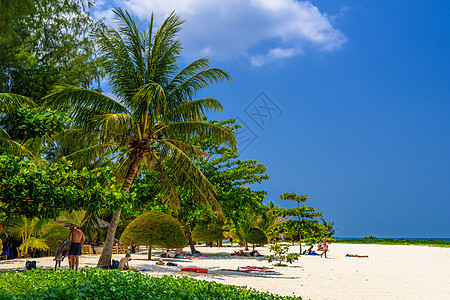 马里布海滩的棕榈和沙子 苏拉塔尼省戈夫潘干岛 太阳 多米尼加图片