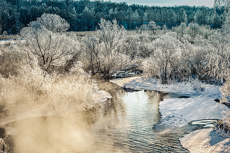 充满河流和森林的寒冬阳光明媚的风景 美丽的 溪流图片