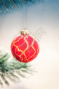 红球挂在紧闭的fir -tree上 美丽的 圣诞节图片