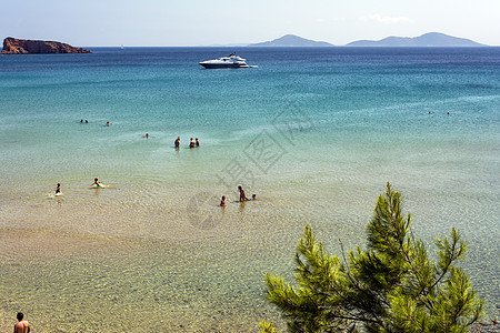 希腊阿洛尼斯索海滩 树木 异国情调 树 美丽的 阳光图片
