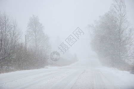 美丽的冬天风景 冬季森林里有雪地路 高速公路 松树图片