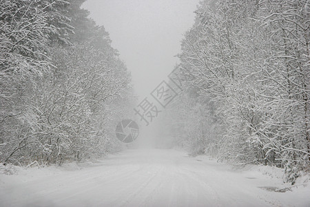 美丽的冬天风景 冬季森林里有雪地路 高速公路 场景图片