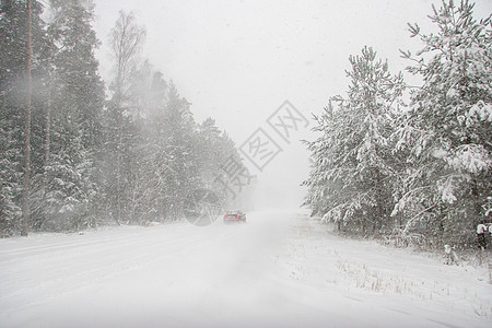 美丽的冬天风景 冬季森林里有雪地路 国家 场景图片