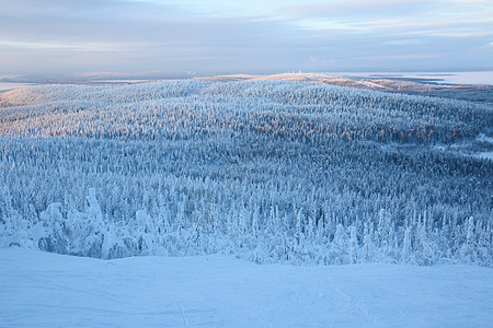 雪中美丽的森林 北极 假期 卡片 仙境 旅行图片