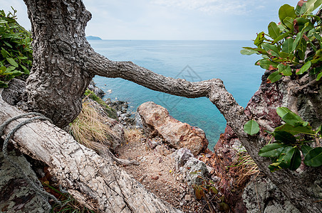 Laem Sing山景点的树枝和海洋景观 海浪 旅行图片
