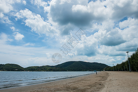 海滩或海岸的景观 夏天 户外的 海浪 树 天空图片