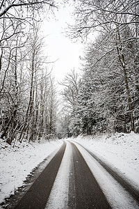 有树木和积雪的公路 天空 蓝色的 霜 木头图片