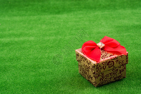 绿草上的礼品盒 问候语 红色的 庆典 圣诞节 派对 绿色的草图片
