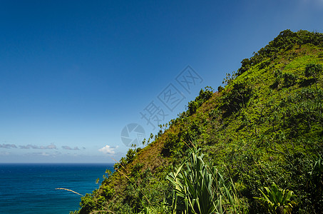 美国夏威夷大蓝海前的 绿色山丘图片