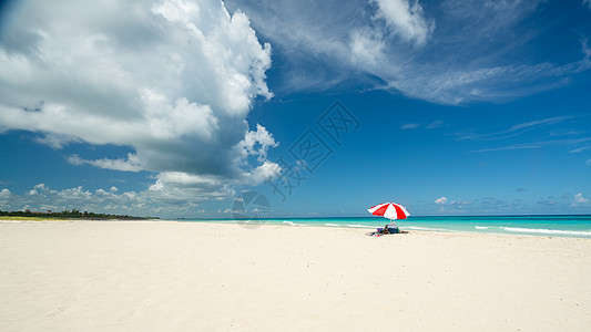 热带海滩上的红色阳伞图片