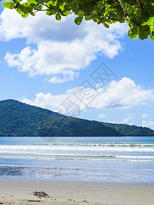 在阳光明媚的白天有海滩 蓝海和岛屿背景 树图片