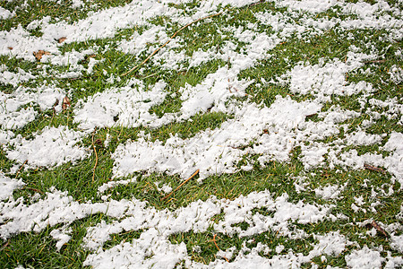 冬天绿草上白雪 冰冷的 霜 假期 自然 闪亮的 白色的图片