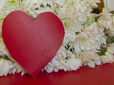 红色红心与文字空间 以白颜色为背景 爱慕情人节 母亲节 妇女节 婚礼的理念; 祝贺 惊喜图片