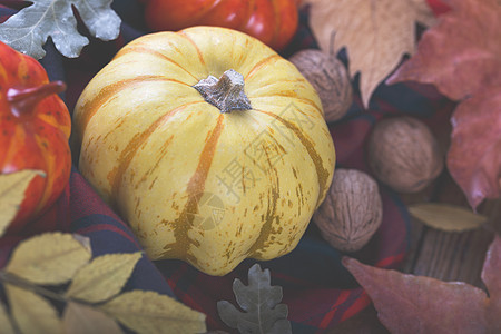 秋天万圣节或感恩节 健康 季节 自然 假期 老的图片