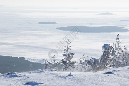 冬季白海和山脉 森林 南极洲 全景 爬坡道 寒冷的 滑雪图片