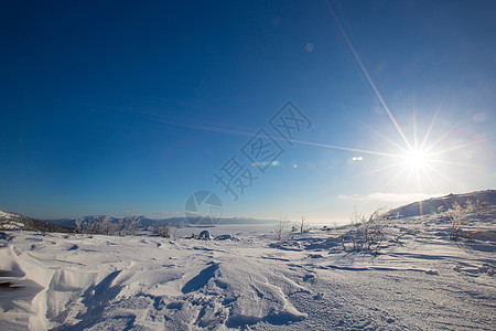 冬季白海和山脉 雪 自然 晴天 冬天 爬坡道 树 旅游图片