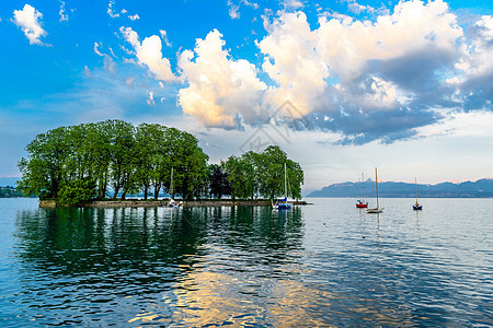 瑞士日内瓦湖小岛上的树木 瑞士日内瓦湖 公园图片
