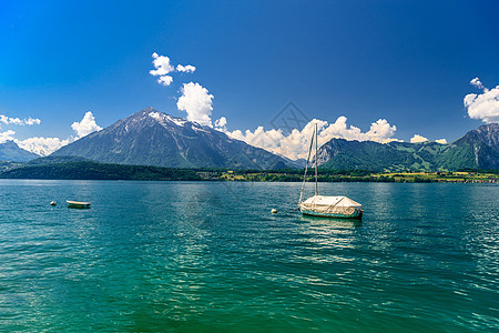 瑞士伯尔尼图恩湖的帆船 顶峰 自然 美丽的 夏天 岩石图片