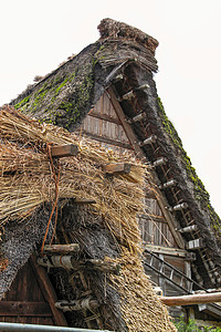 白川江村的加绍式房屋图片