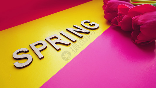 春季概念 彩色背景的郁金香包头 母亲发短信之春 生日 四月图片