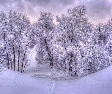 冬季公园里有雪树的冬季景观 — 复古色调的冬季雪景 雪堆 旅行图片