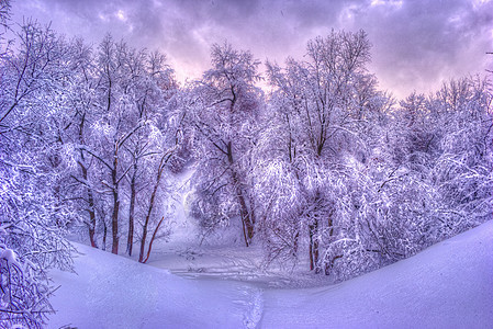 冬季公园里有雪树的冬季景观 — 复古色调的冬季雪景 小路 覆盖图片