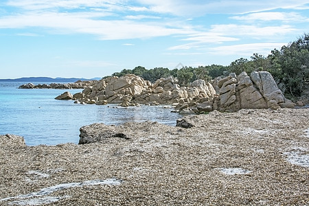 科斯塔斯梅拉尔达冬季海滩上的绿水和干海草 石头图片
