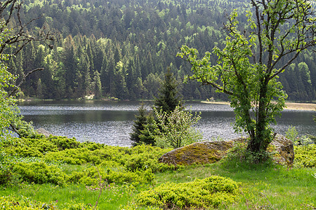 巴伐利亚小阿伯西的风景 安静 假期 宁静的风景 蓝色的 自由图片