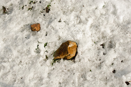 白颜色的雪冬背景 十二月 假期 雪花 户外图片