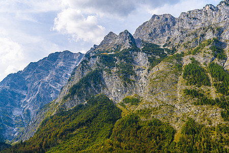 森林覆盖的阿尔卑斯山脉 Koenigssee Konigsee 国家公园 德国巴伐利亚 坎德施泰格 奥地利图片