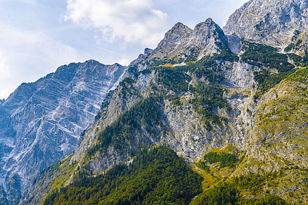 森林覆盖的阿尔卑斯山脉 Koenigssee Konigsee 国家公园 德国巴伐利亚 蓝色的 天空图片