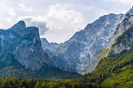 森林覆盖的阿尔卑斯山脉 Koenigssee Konigsee 国家公园 德国巴伐利亚 蓝色的 夏天图片