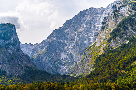 森林覆盖的阿尔卑斯山脉 Koenigssee Konigsee 国家公园 德国巴伐利亚 冰图片