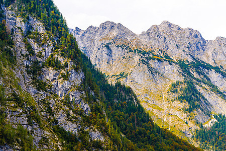 森林覆盖的阿尔卑斯山脉 Koenigssee Konigsee 国家公园 德国巴伐利亚 风景 远足图片