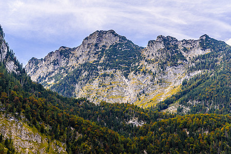 森林覆盖的阿尔卑斯山脉 Koenigssee Konigsee 国家公园 德国巴伐利亚 远足 冷杉图片